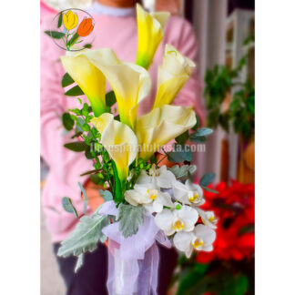 Alcatraz y orquidea phalaenopsis