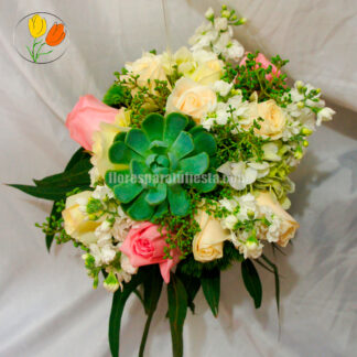 Matiola rosas y suculenta