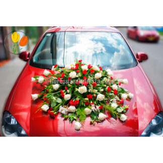 Decoracion para auto