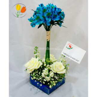 Alstroemeria rosa y matiola