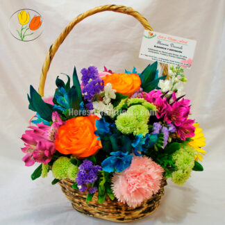 Canastita primaveral