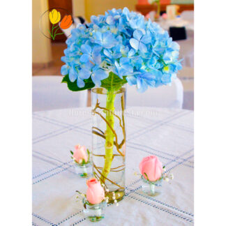 Hortensia en cilindro de virio